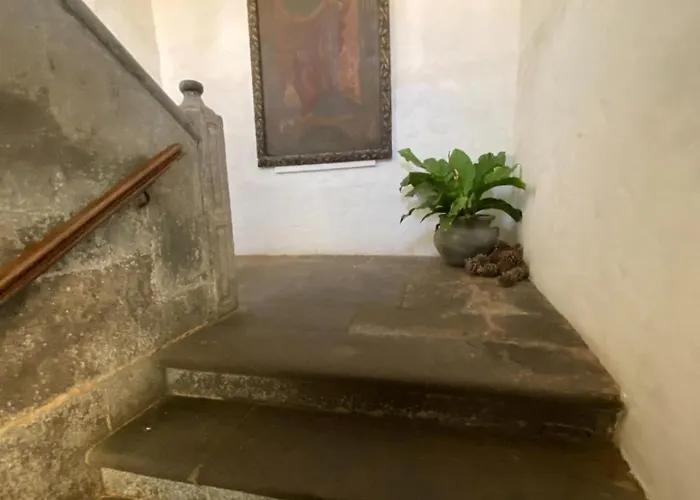 Casa Montesdeoca - Jacaranda Hébergement de vacances Las Palmas de Gran Canaria